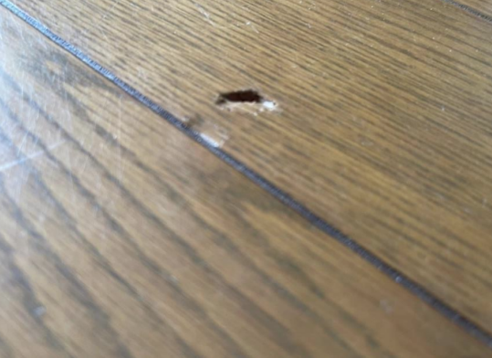 床の傷（家具の移動中）